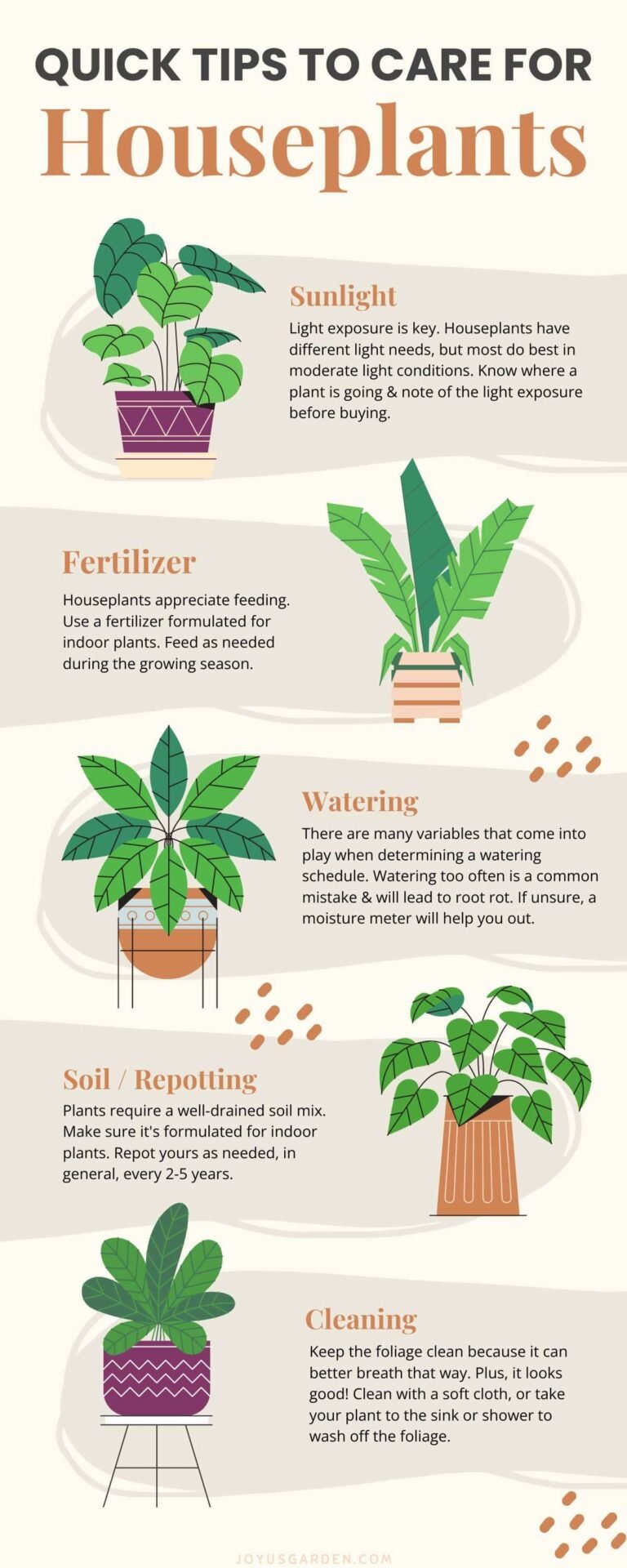 Steps for plant care basics